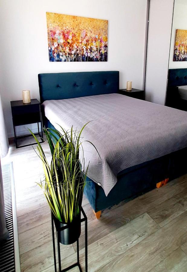 Flamingo Apartments 미엥지즈드로예 외부 사진